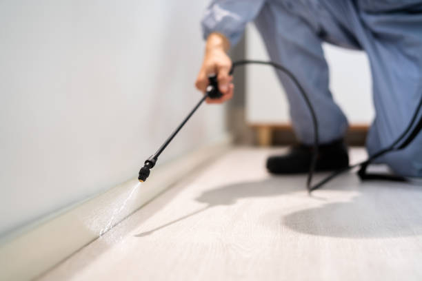 Licensed Mosquito Control service in Washington, WV - Show Me Pest Control