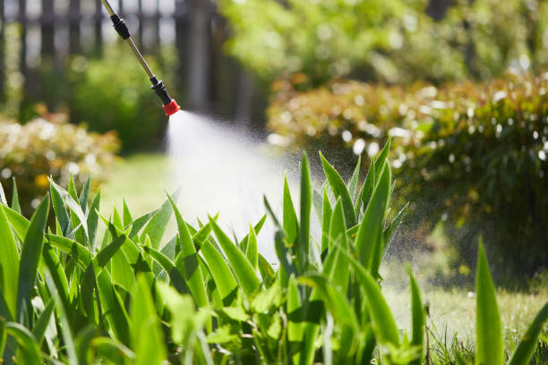 24/7 Emergency Mosquito Control experts in Washington, WV